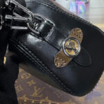 Louis Vuitton Pochette Vibe M14544 Black